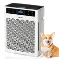 HEPA Air Purifier for Large Rooms Up to 3000 Sq Ft – True HEPA Filter, Activated Carbon, Double-Sided Intake, Removes Dust, Pet Dander, Smoke & Odors, Sleep Mode 22dB, Aromatherapy, 19Hr Timer
